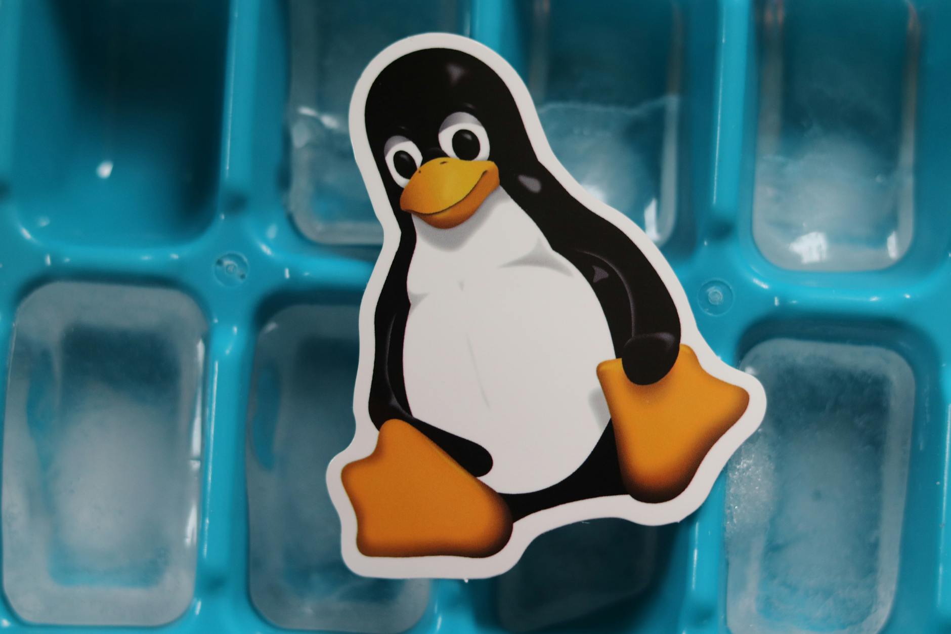 Solving ‘Permission Denied’ Errors in Linux
